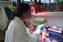 Anthropology M.A. student Mallory Cox wins fellowship at Smithsonian Tropical Research Institute