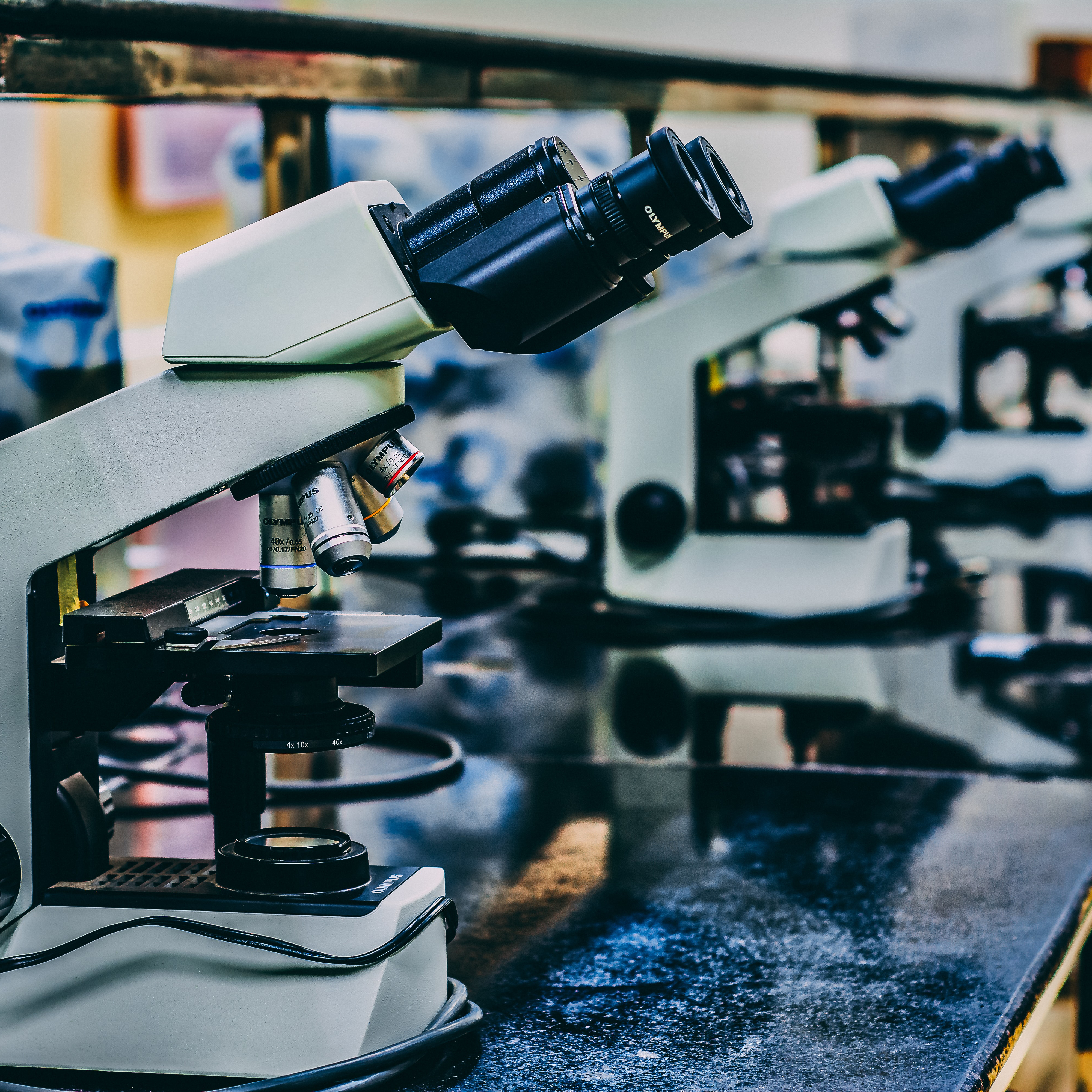 Multiple microscopes lined up on a table
