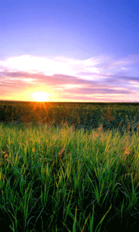 Photo of beautiful sunset