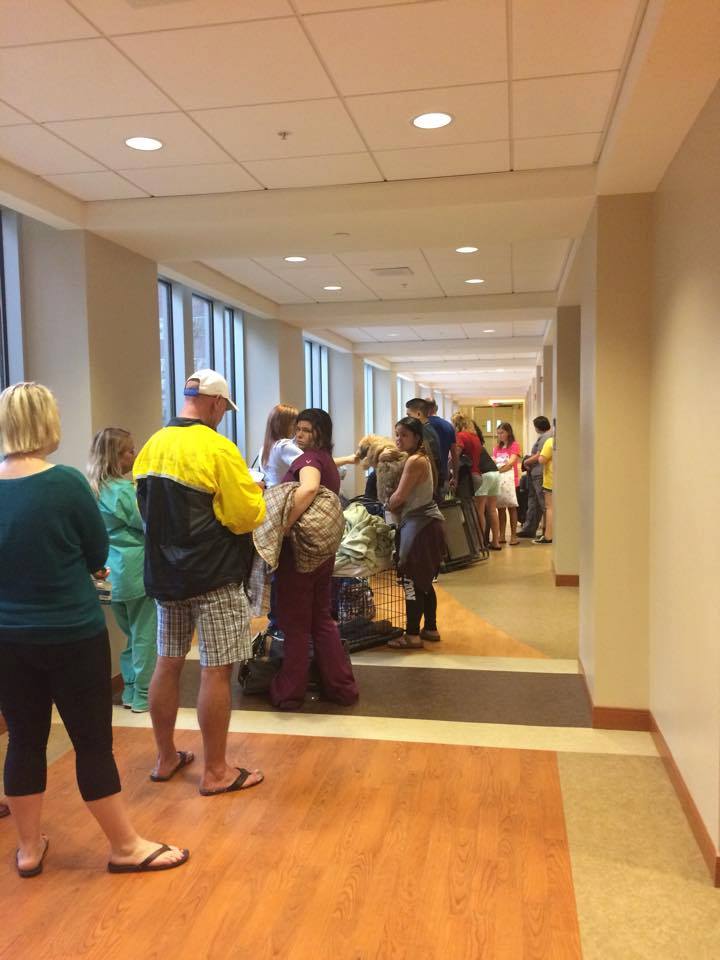 staff checking in people