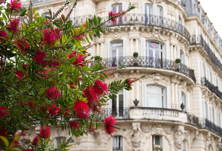 Flowers outside of an old building