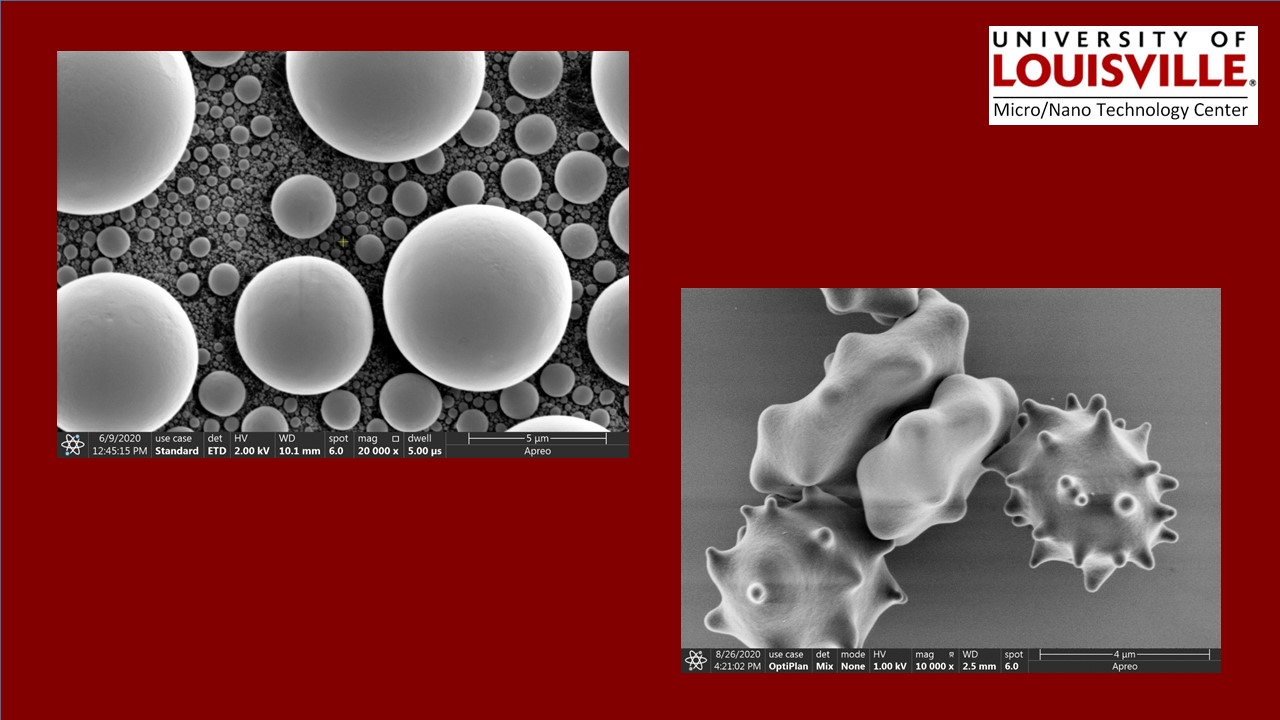 The Thermo-Fisher Scientific Apreo SEM is capable of advanced detection and flexible sample handling to meet your research needs.