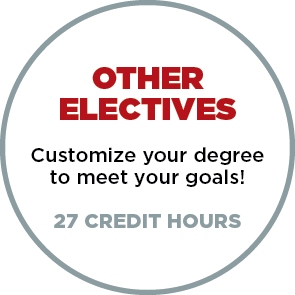 Other Electives - Customize your degree to meet your goals - 30 Credit Hours