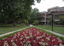 Link to Anonymous University Reporting form