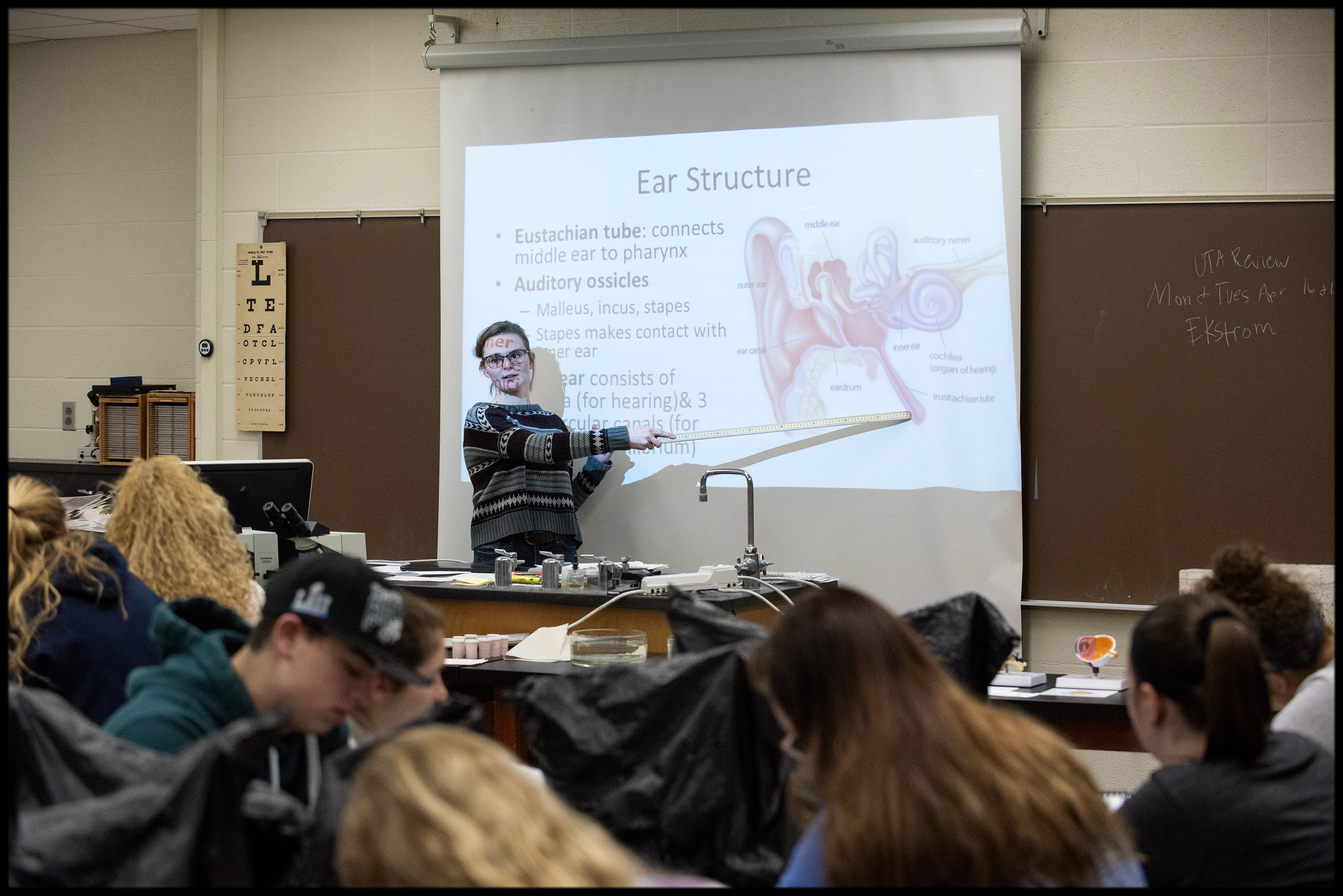 UofL anatomy lab class